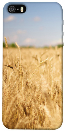 Чехол itsPrint Поле пшеницы для Apple iPhone 5/5S/SE