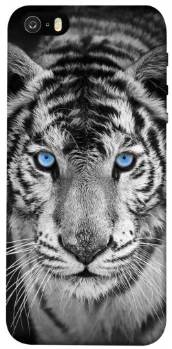 Чехол itsPrint Бенгальский тигр для Apple iPhone 5/5S/SE