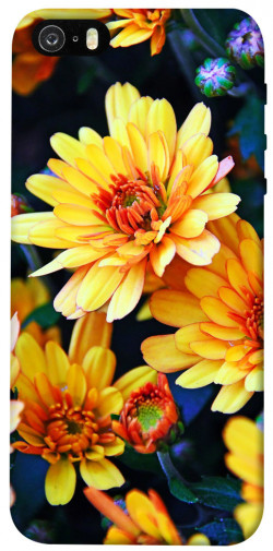 Чехол itsPrint Yellow petals для Apple iPhone 5/5S/SE