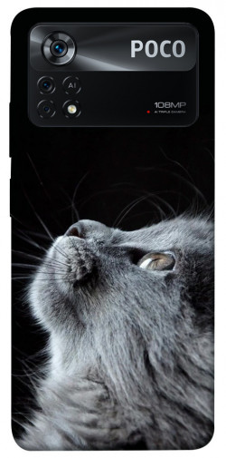 Чехол itsPrint Cute cat для Xiaomi Poco X4 Pro 5G