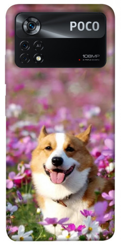 Чохол itsPrint Коргі в квітах для Xiaomi Poco X4 Pro 5G