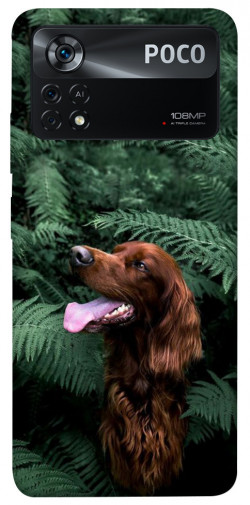 Чохол itsPrint Собака у зелені для Xiaomi Poco X4 Pro 5G