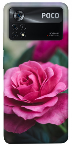Чохол itsPrint Троянда у саду для Xiaomi Poco X4 Pro 5G