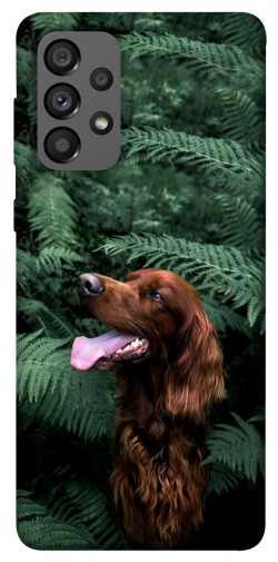 Чохол itsPrint Собака у зелені для Samsung Galaxy A73 5G
