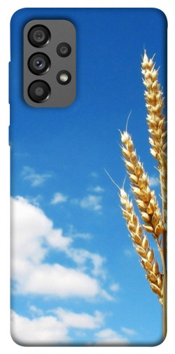 Чехол itsPrint Пшеница для Samsung Galaxy A73 5G