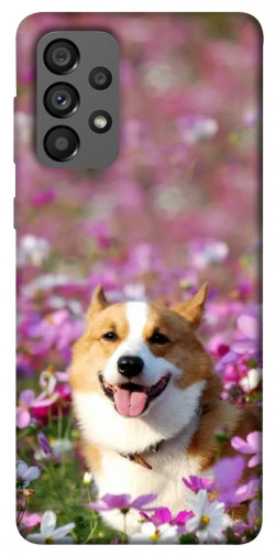 Чохол itsPrint Коргі в квітах для Samsung Galaxy A73 5G