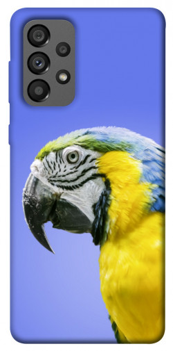 Чохол itsPrint Папуга ара для Samsung Galaxy A73 5G