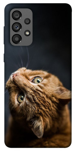 Чехол itsPrint Рыжий кот для Samsung Galaxy A73 5G