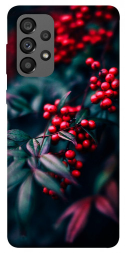 Чохол itsPrint Red berry для Samsung Galaxy A73 5G