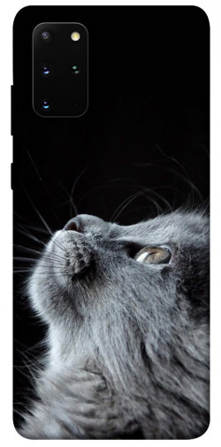 Чохол itsPrint Cute cat для Samsung Galaxy S20+