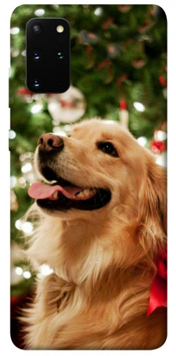 Чехол itsPrint New year dog для Samsung Galaxy S20+