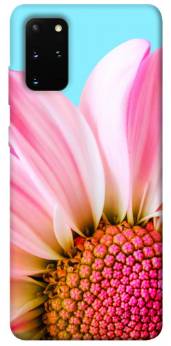 Чехол itsPrint Цветочные лепестки для Samsung Galaxy S20+