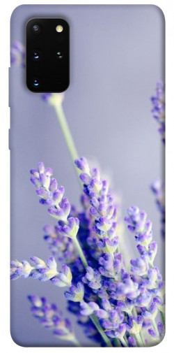 Чехол itsPrint Лаванда для Samsung Galaxy S20+