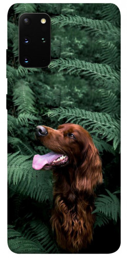 Чехол itsPrint Собака в зелени для Samsung Galaxy S20+