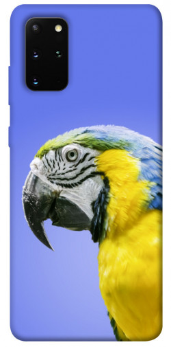 Чехол itsPrint Попугай ара для Samsung Galaxy S20+