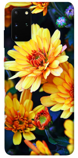 Чехол itsPrint Yellow petals для Samsung Galaxy S20+