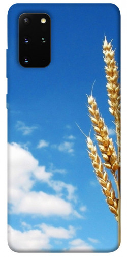 Чохол itsPrint Пшениця для Samsung Galaxy S20+