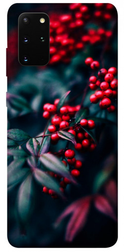 Чехол itsPrint Red berry для Samsung Galaxy S20+