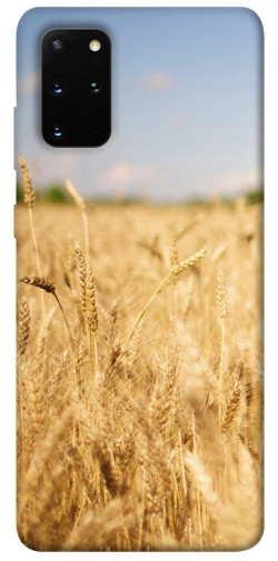 Чохол itsPrint Поле пшениці для Samsung Galaxy S20+
