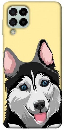 Чехол itsPrint Husky dog для Samsung Galaxy M53 5G