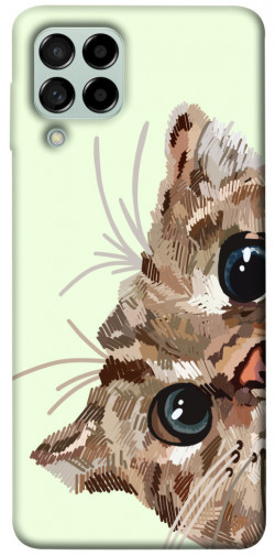 Чохол itsPrint Cat muzzle для Samsung Galaxy M53 5G