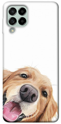 Чехол itsPrint Funny dog для Samsung Galaxy M53 5G
