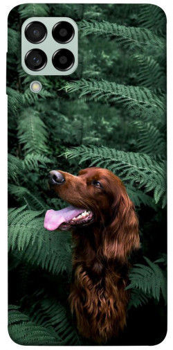 Чехол itsPrint Собака в зелени для Samsung Galaxy M53 5G