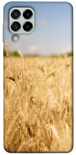 Чехол itsPrint Поле пшеницы для Samsung Galaxy M53 5G