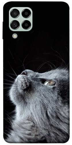 Чехол itsPrint Cute cat для Samsung Galaxy M53 5G