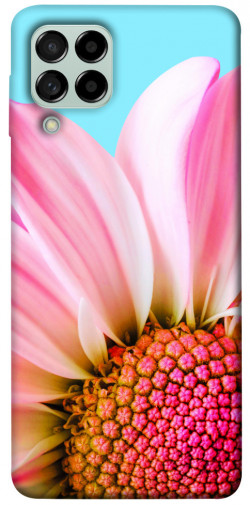 Чехол itsPrint Цветочные лепестки для Samsung Galaxy M53 5G