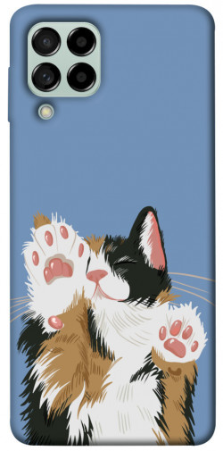 Чохол itsPrint Funny cat для Samsung Galaxy M53 5G