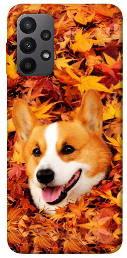 Чехол itsPrint Корги в листьях для Samsung Galaxy A23 4G