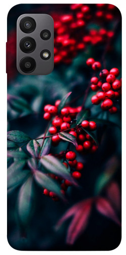 Чехол itsPrint Red berry для Samsung Galaxy A23 4G