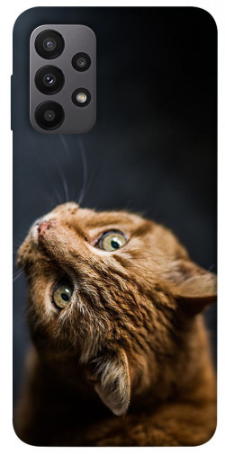 Чехол itsPrint Рыжий кот для Samsung Galaxy A23 4G