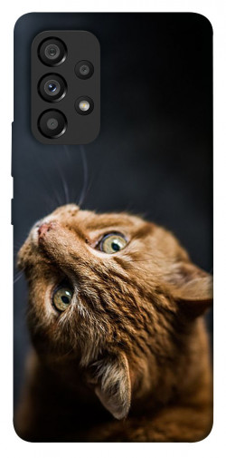 Чехол itsPrint Рыжий кот для Samsung Galaxy A53 5G