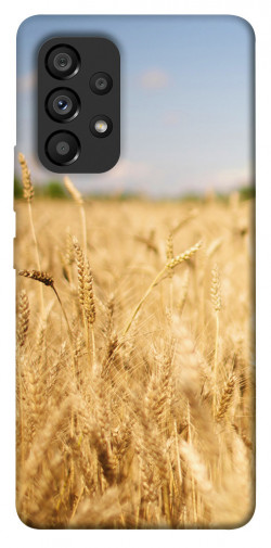 Чохол itsPrint Поле пшениці для Samsung Galaxy A53 5G