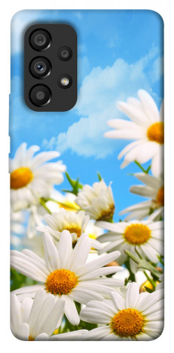 Чехол itsPrint Ромашковое поле для Samsung Galaxy A53 5G
