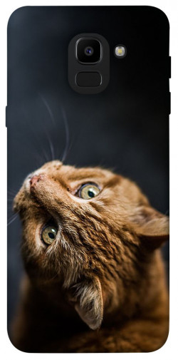 Чехол itsPrint Рыжий кот для Samsung J600F Galaxy J6 (2018)