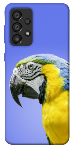 Чехол itsPrint Попугай ара для Samsung Galaxy A33 5G