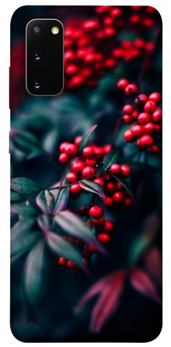 Чохол itsPrint Red berry для Samsung Galaxy S20