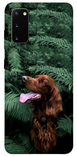 Чехол itsPrint Собака в зелени для Samsung Galaxy S20