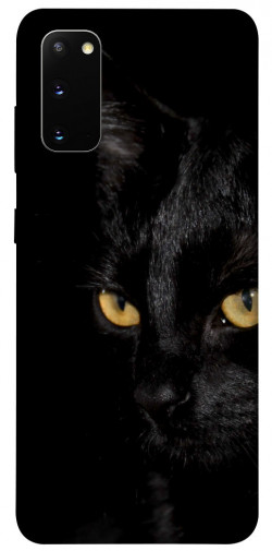 Чохол itsPrint Чорний кіт для Samsung Galaxy S20