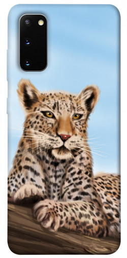 Чохол itsPrint Proud leopard для Samsung Galaxy S20
