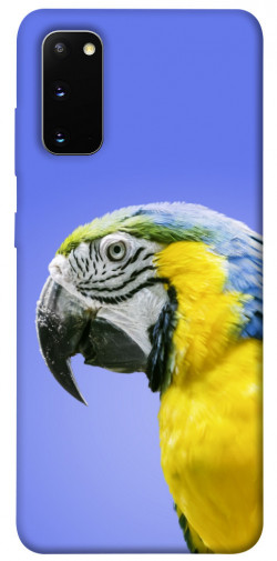 Чехол itsPrint Попугай ара для Samsung Galaxy S20