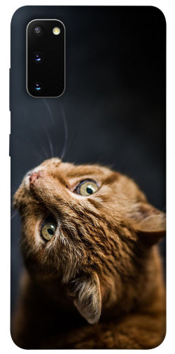 Чехол itsPrint Рыжий кот для Samsung Galaxy S20