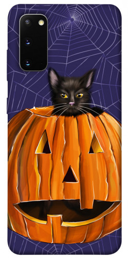 Чохол itsPrint Cat and pumpkin для Samsung Galaxy S20
