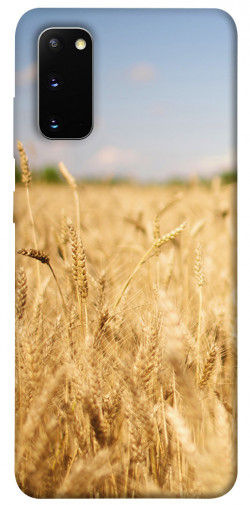 Чохол itsPrint Поле пшениці для Samsung Galaxy S20