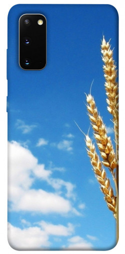 Чехол itsPrint Пшеница для Samsung Galaxy S20