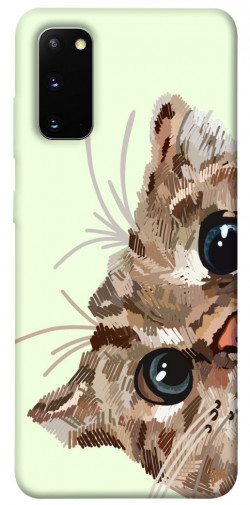 Чохол itsPrint Cat muzzle для Samsung Galaxy S20