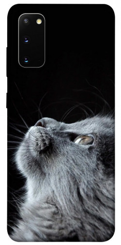 Чохол itsPrint Cute cat для Samsung Galaxy S20